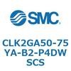 53813356