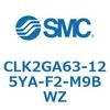 53815045