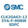 53815081