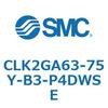 53817005
