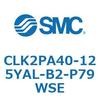 53819062