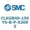 53824041