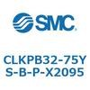 53825037
