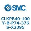 53825082