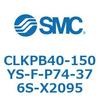 53825441