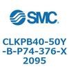 53825484