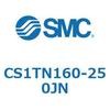 54010031