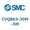 54060562