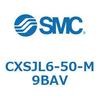 54069933