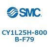 54100243