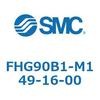 54256036