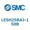 54531504