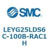 54613036