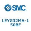 54620054