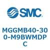 55003304