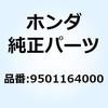 55023018