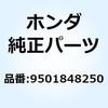 55023605