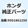 55023736