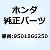 55023754