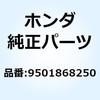 55023763
