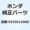 55023955