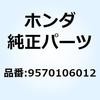 55023982