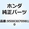55026974