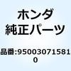 55027254
