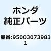 55027954