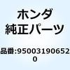 55028794