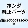 55031262