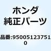 55031874