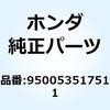 55033037