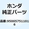 55037124