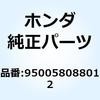55039145