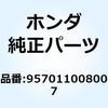 55043494