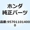 55043844