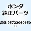 55044404