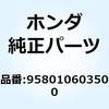 55044876