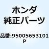 55049137