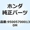 55049173