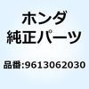 9613062030 �{�[���x�A�����OZZ 620 9613062030 �z���_ 55145922