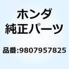 55149404