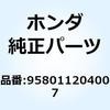 55154672