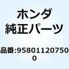 55154812