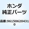 55157682