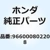 55160918