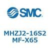 55300813