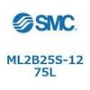 55353006