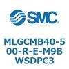 55360304